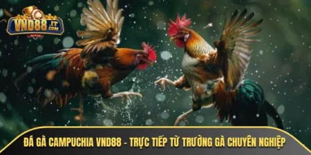 da ga campuchia vnd88